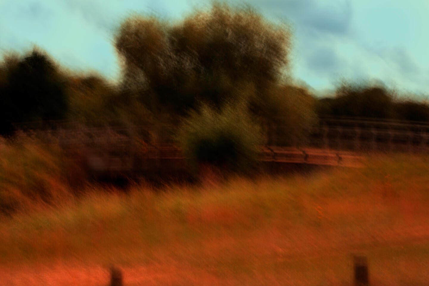 Whispers in Amber 3