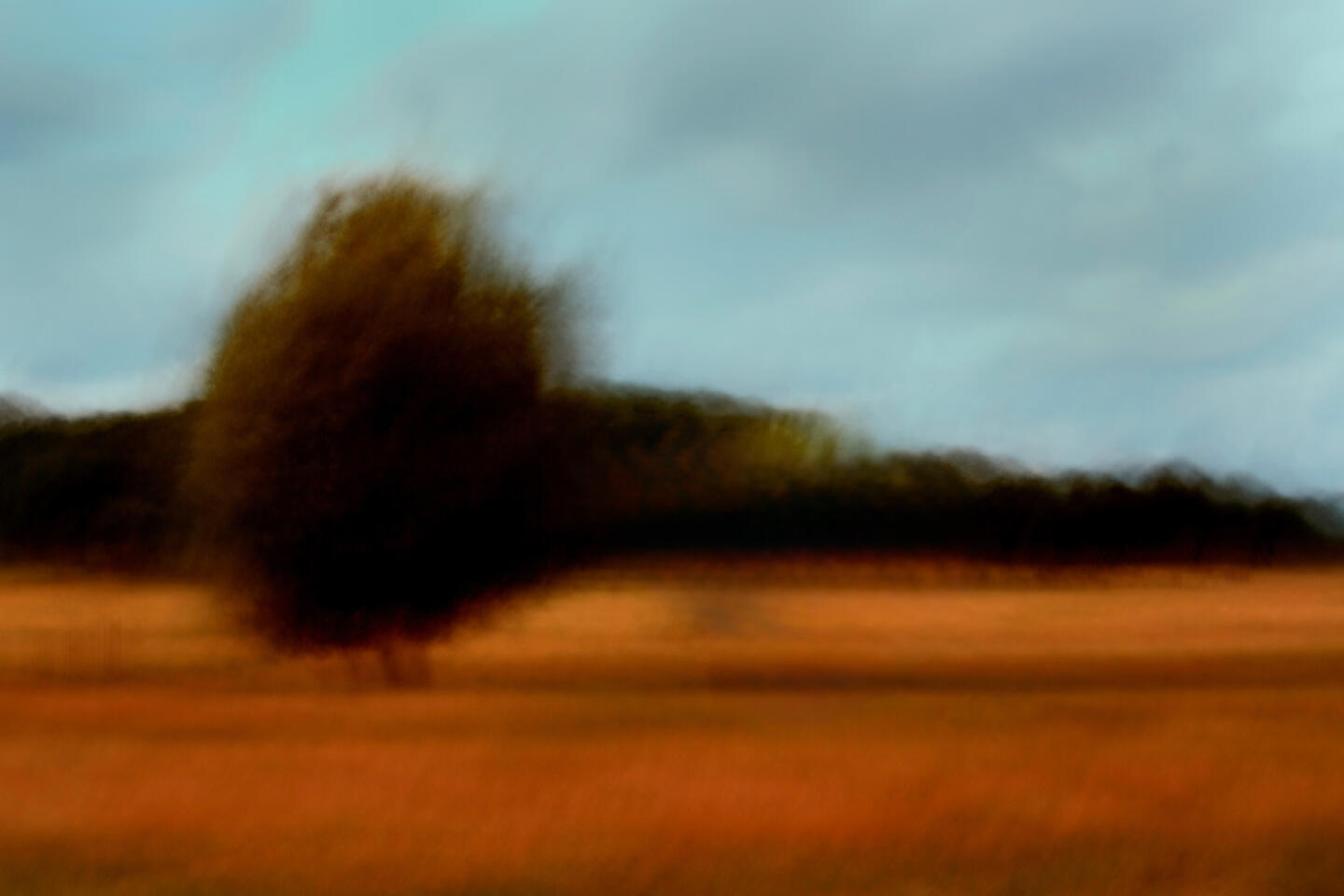 Whispers in Amber 1