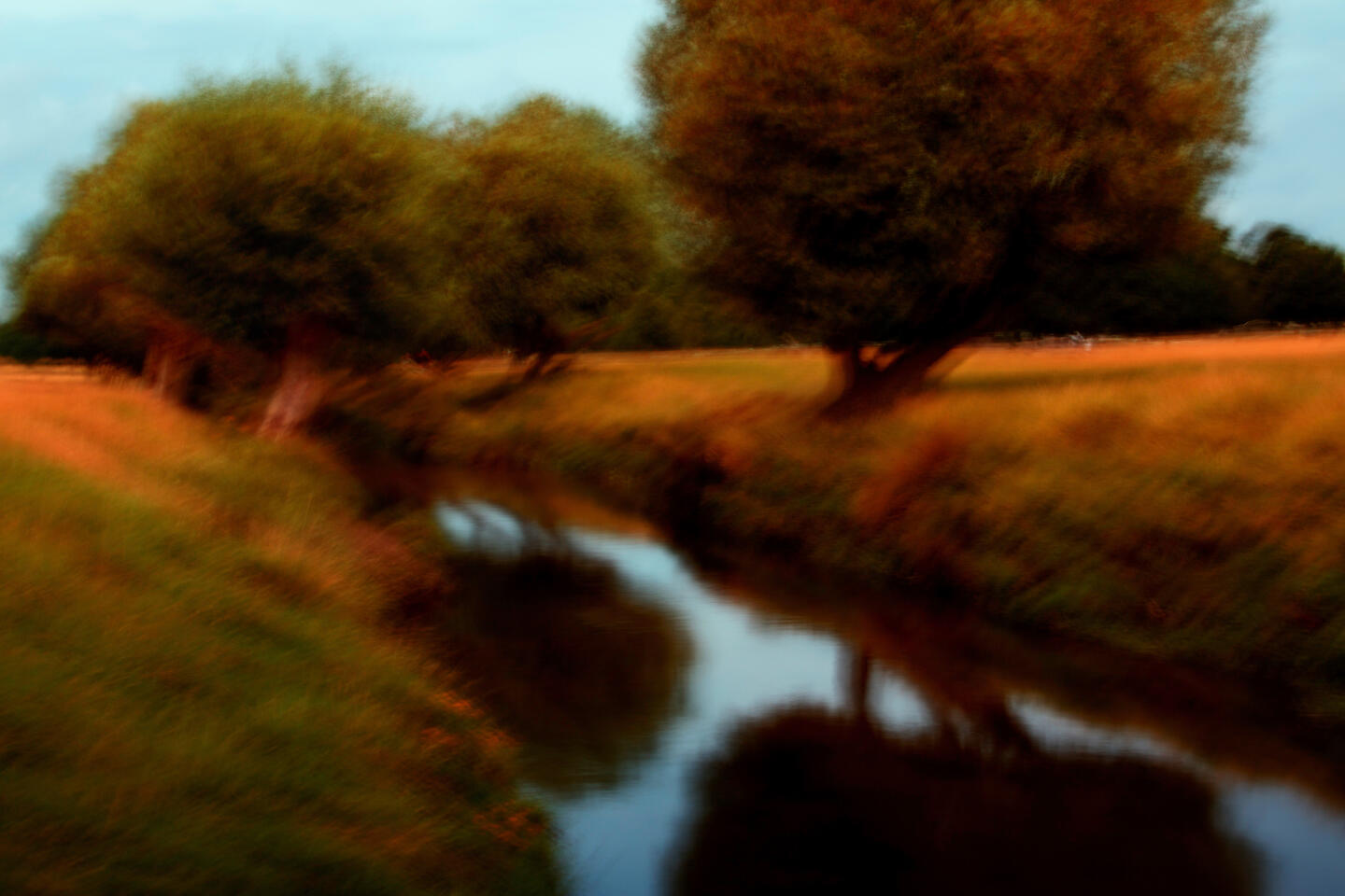 Whispers in Amber 2